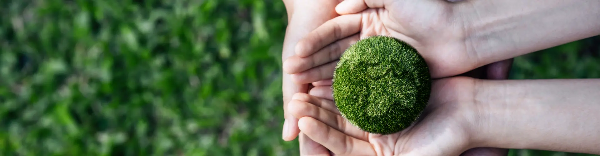 代理品牌(IMV)頁面簡介背景